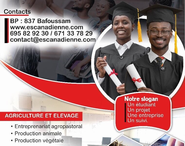 Formation professionnelle pour le BTS/HND